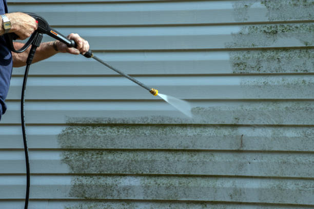 Roof Power Washing Services in Homer City, PA