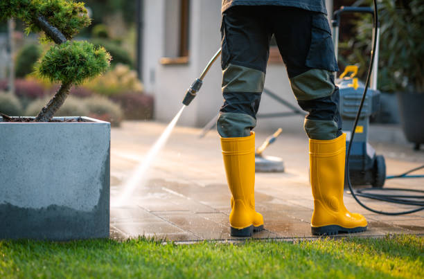 Best House Pressure Washing  in Homer City, PA